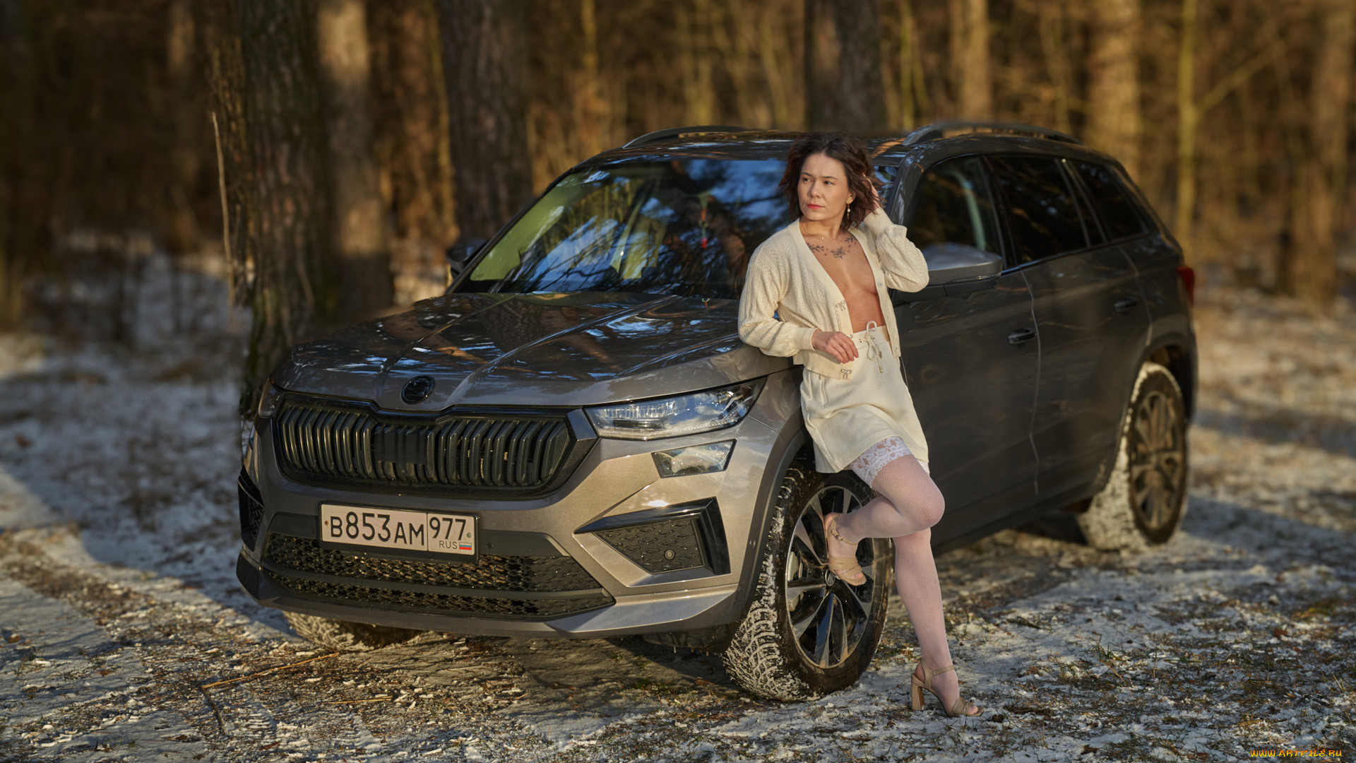 ����������, -���� � ���������, skoda, kodiaq